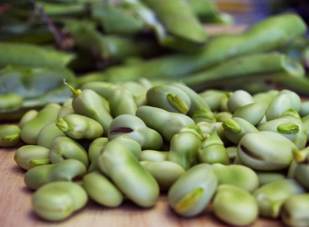 Ανεπάρκεια αφυδρογονάσης G6PD